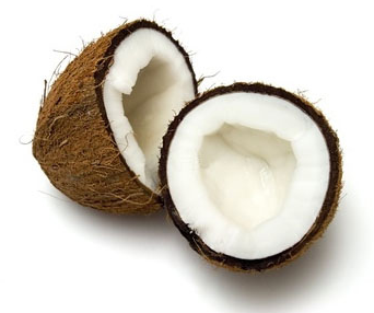 Coconut Meat