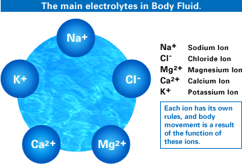 Electrolytes in Coconut Water